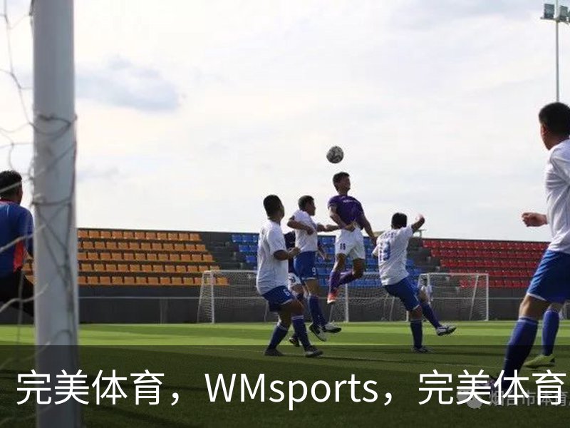 完美体育，WMsports，完美体育官方，完美体育平台，完美体育下载品牌故事